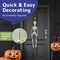 PREXTEX 30&#x201D; Halloween Skeleton for Halloween D&#xE9;cor &#x26; Day of The Dead D&#xE9;cor - 2.5 ft Full Size Plastic Halloween Skeleton with Movable Joints for Best Halloween Decoration - Indoor &#x26; Outdoor